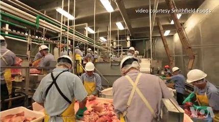 美媒:世界最大猪肉生产商被中企接手后销售创纪录 信用评级提高